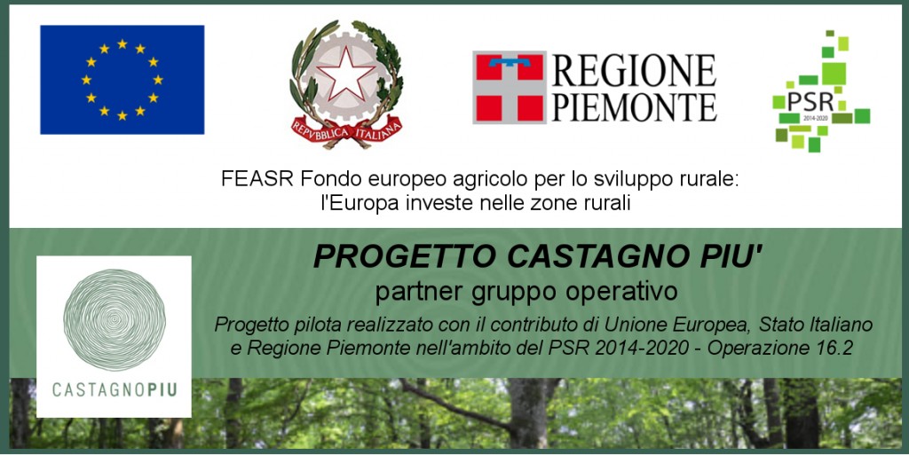 Banner_CS+_PSR_16.2_repubblica_PARTNER_rettangolare