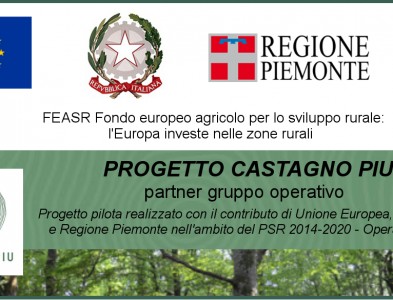 FEASR Fondo europeo agricolo per lo sviluppo rurale – Castagno Più