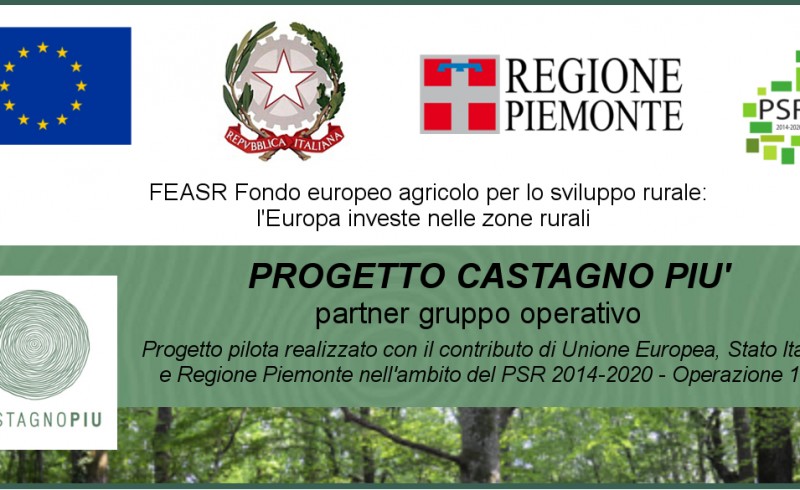 Banner_CS+_PSR_16.2_repubblica_PARTNER_rettangolare